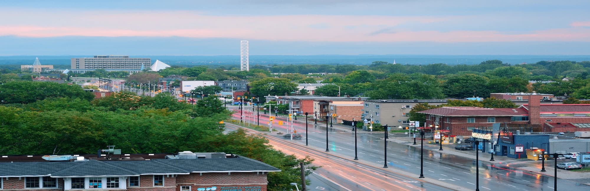 Banner image